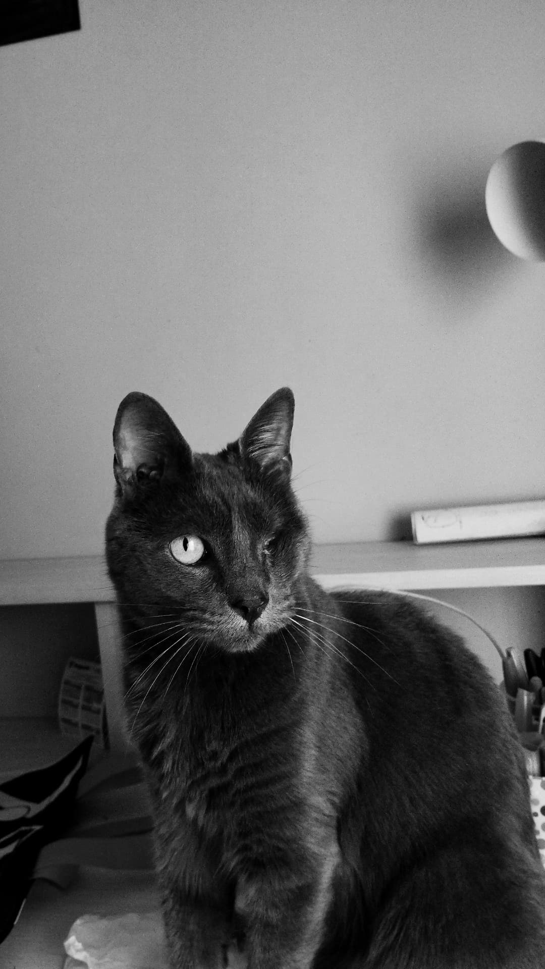 Headshot of Lorem Ipsum wearing a brown jacket, white tshirt and black pants